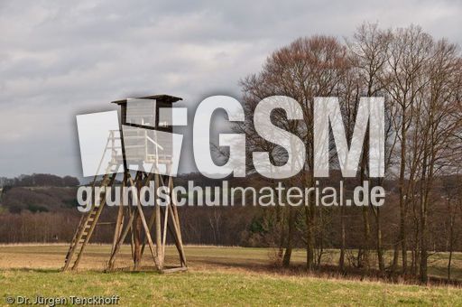 Hochstände (142 von 154).jpg